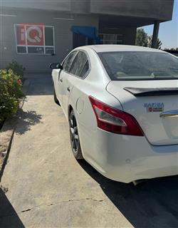 نيسان ماكسيما